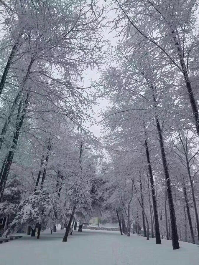Mogan Mountain Xiaomusensen Villa Deqing Exteriör bild