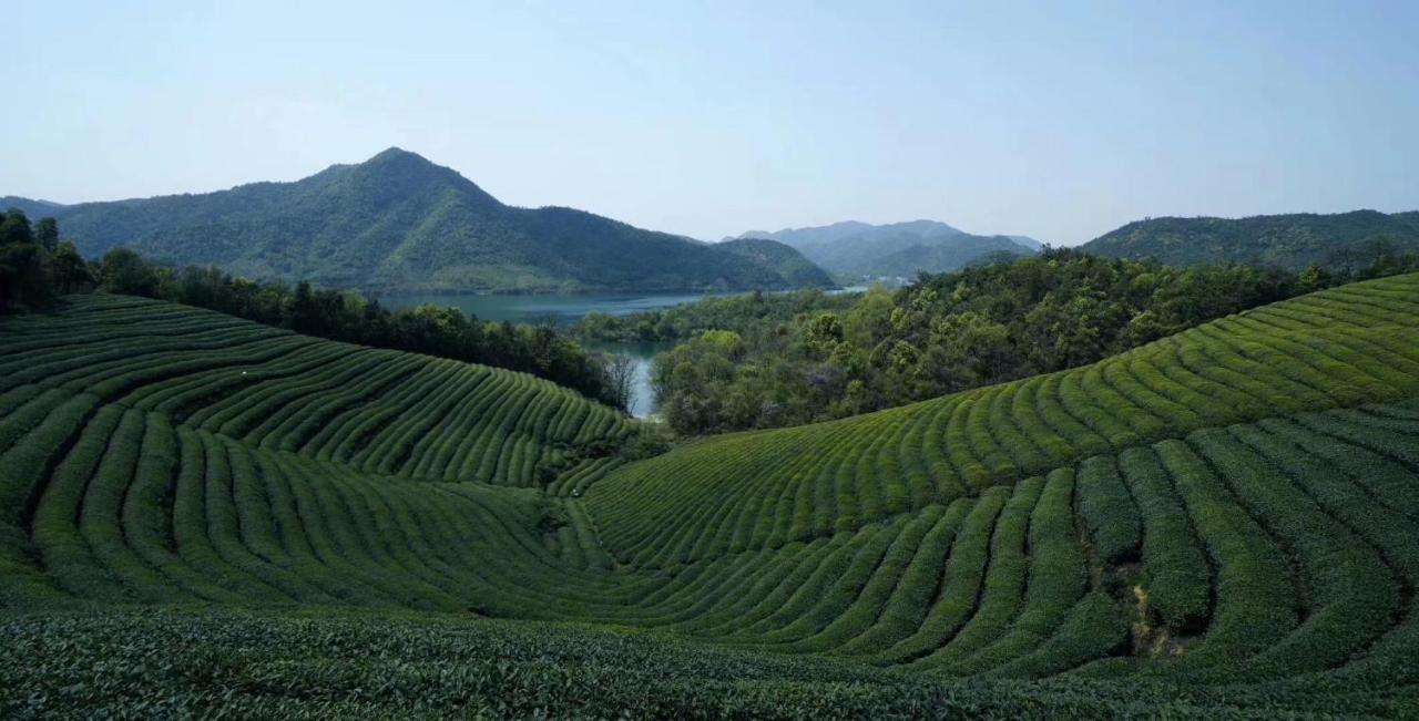 Mogan Mountain Xiaomusensen Villa Deqing Exteriör bild